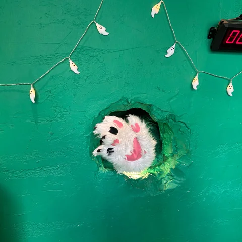 Yeti puppet coming through a hole in a teal wall